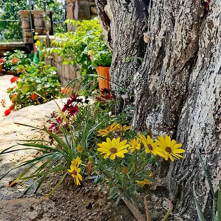 Ilios Guest house