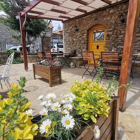 Ilios Guest house *